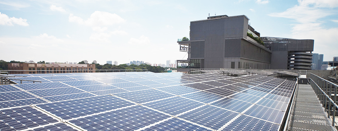 Sustainability r.jpg